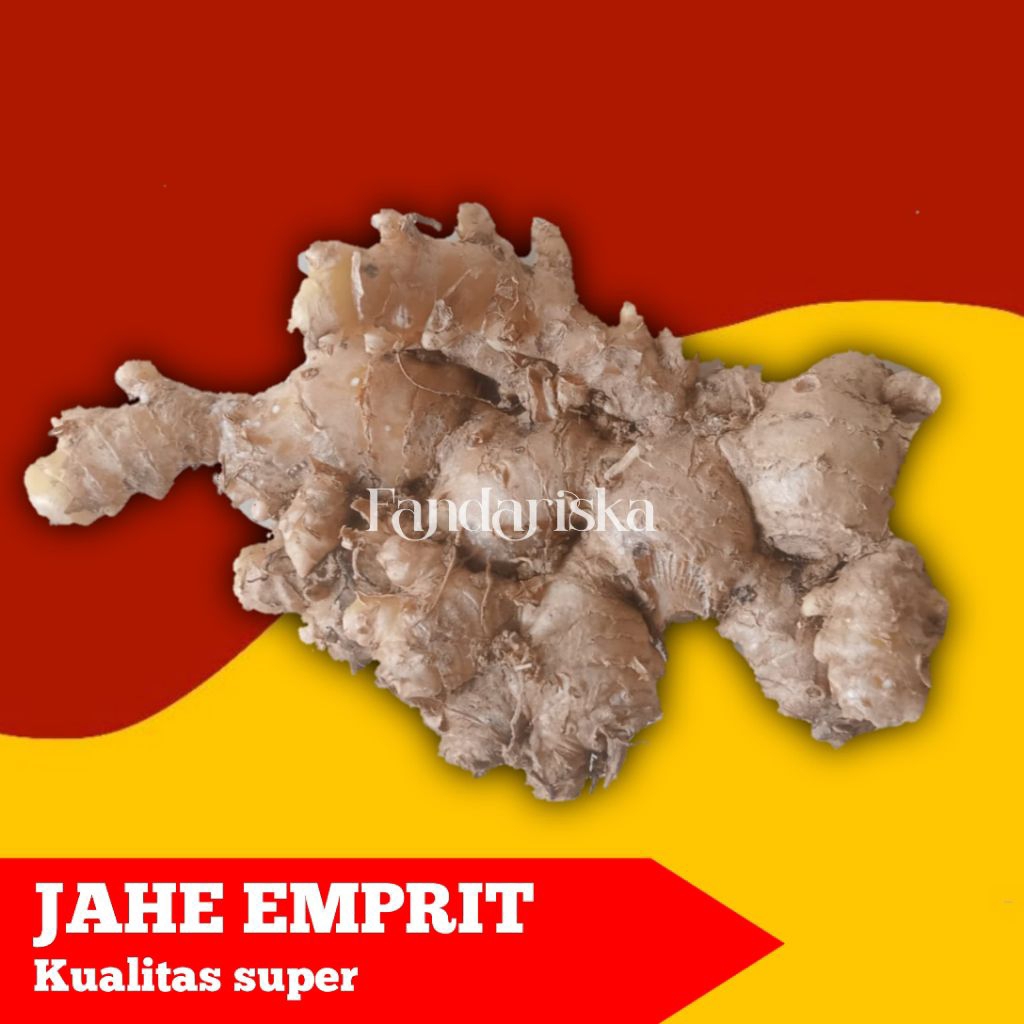 

JAHE EMPRIT SEGAR 1KG