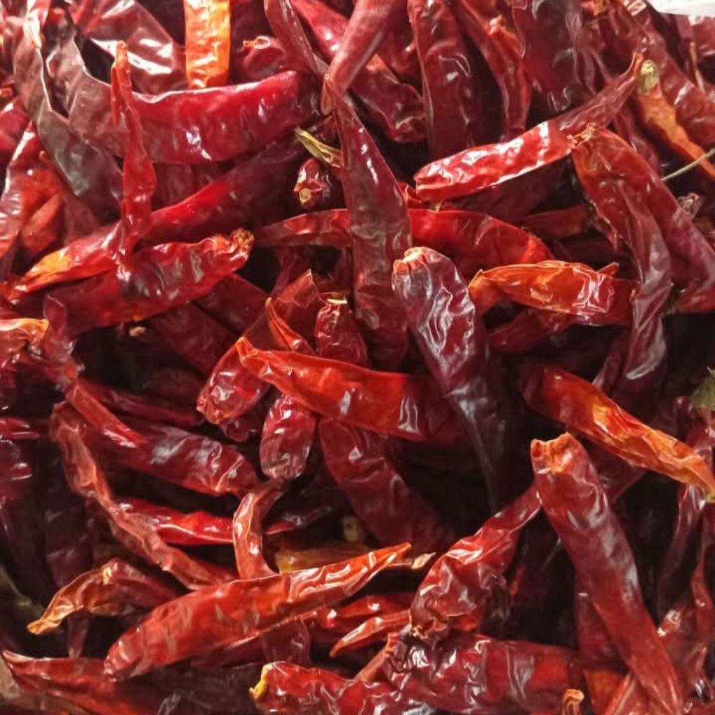 

Cabe Kering | Cabe Rawit Kering Merah | Chili Oil | Cabe Untuk Basreng | Cabai Kering Pedas