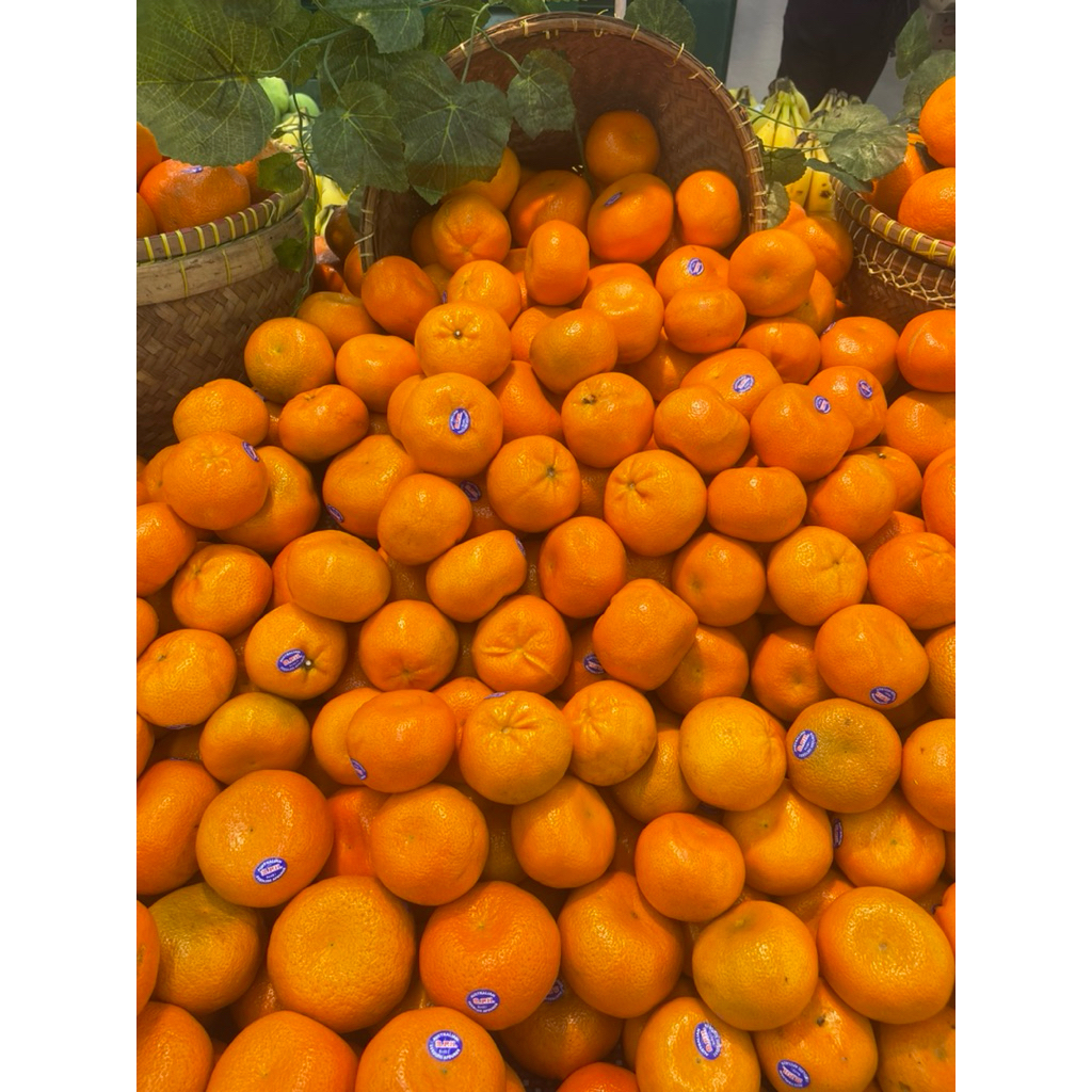 

Jeruk Aferor Seedlees Jumbo | Jeruk Seedles Super Fresh 1 kg