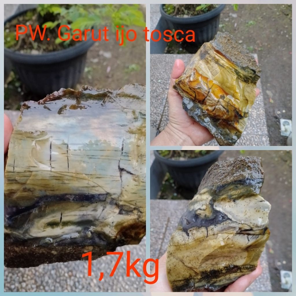 pancawarna Garut ijo tosca