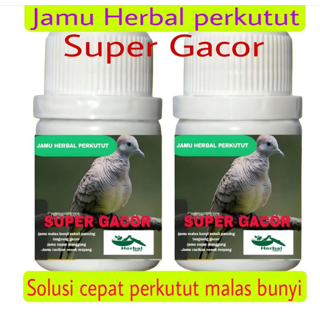 100 BUTIR JAMU PERKUTUT  SUPER GACOR manggung bocor warisan leluhur jamin gacor pil apbn madura koon