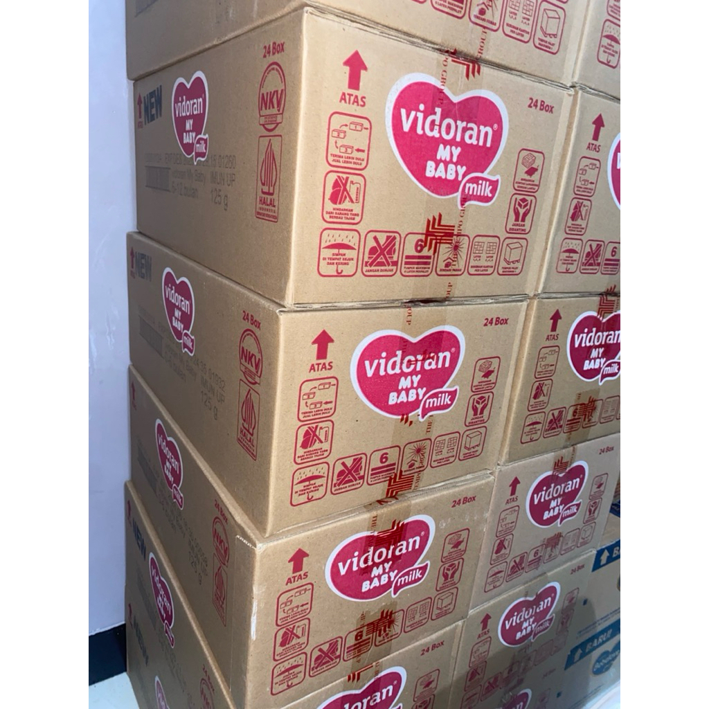 1 Karton Vidoran 0-6 125gram isi 24pcs