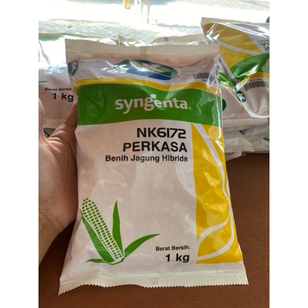 

Benih Jagung Hibrida NK PERKASA 1 Kg