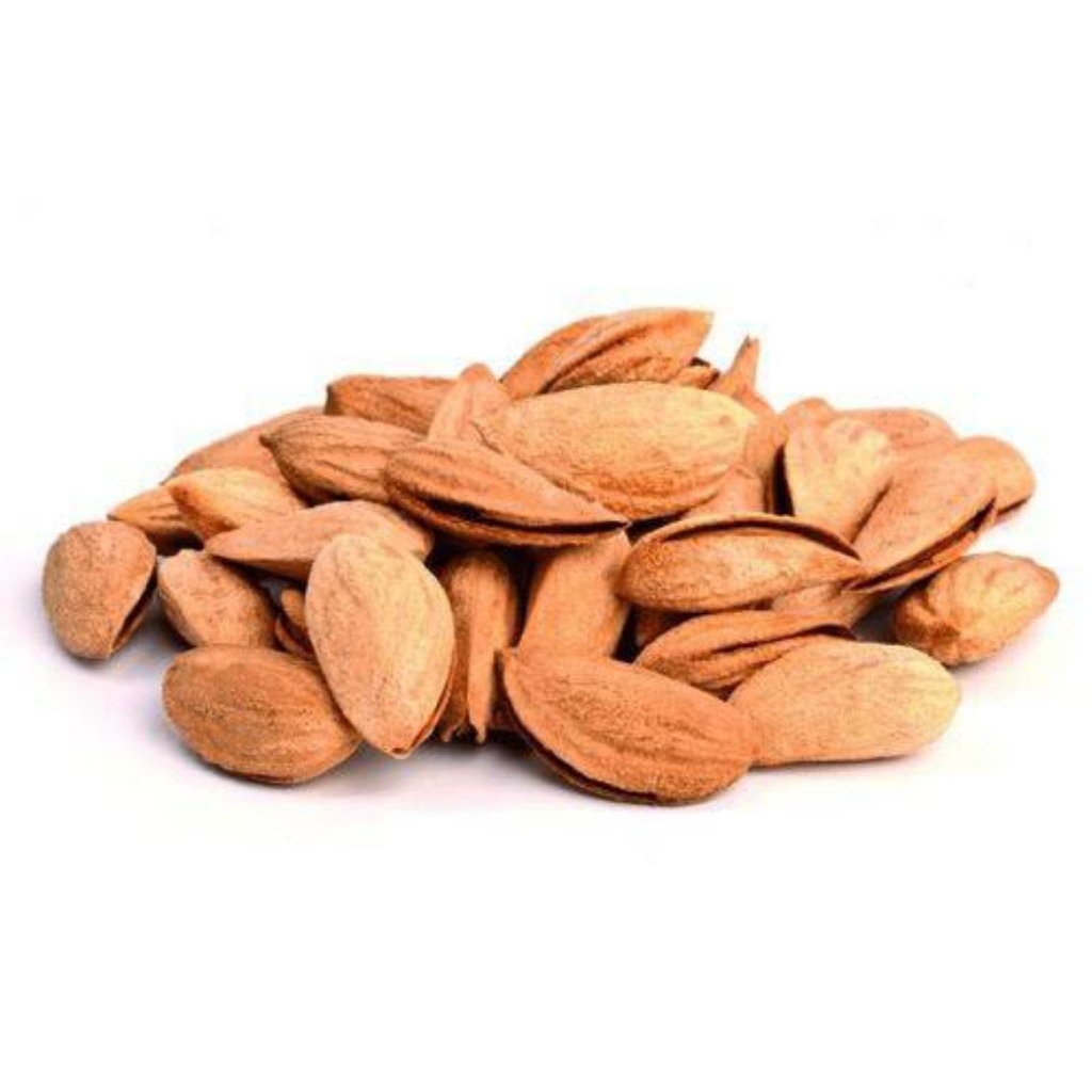 

Kacang Almond Cangkang Madu 1Kg Khas Arab ASI Booster MPASI dan Oleh Oleh Haji dan Umroh