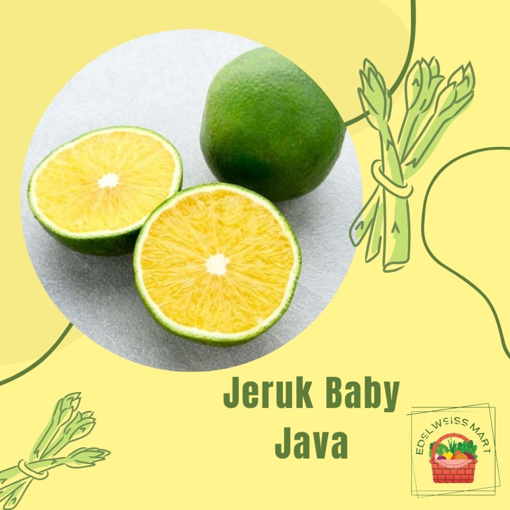 

JERUK BABY JAVA 1kg - INSTANT SEMARANG