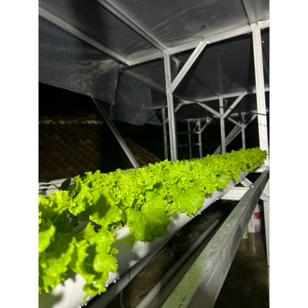 

salada segar per 200gr