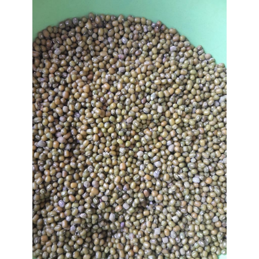 

Kacan ijo kacang hijau lokal dari petani 1KG