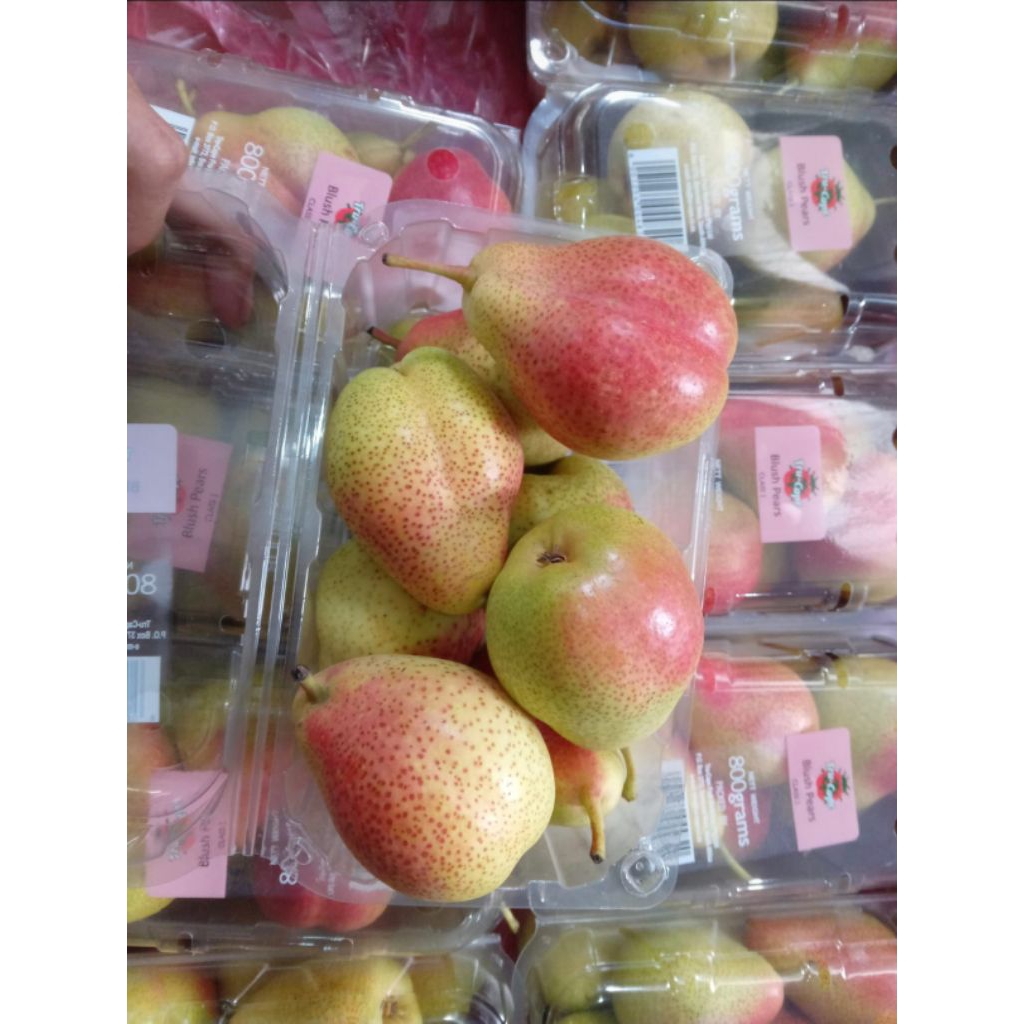 

Pir Forelle Manis – Buah Import Premium Manis, Segar, Renyah,.