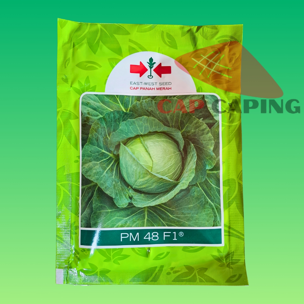 BENIH KUBIS PM 48 F1 CAP PANAH MERAH // KUBIS HIJAU PM 48 F1