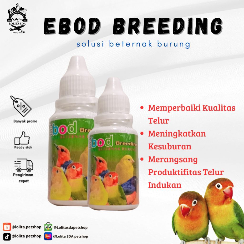 ebod breeding vitamin burung ternak cepat kawin
