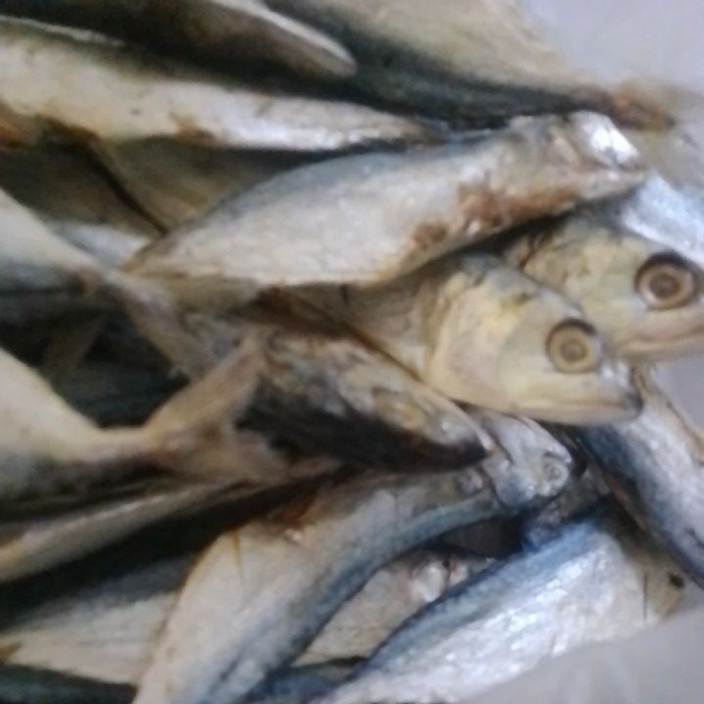 

IKAN ASIN / GEGER IRENG SIDOARJO