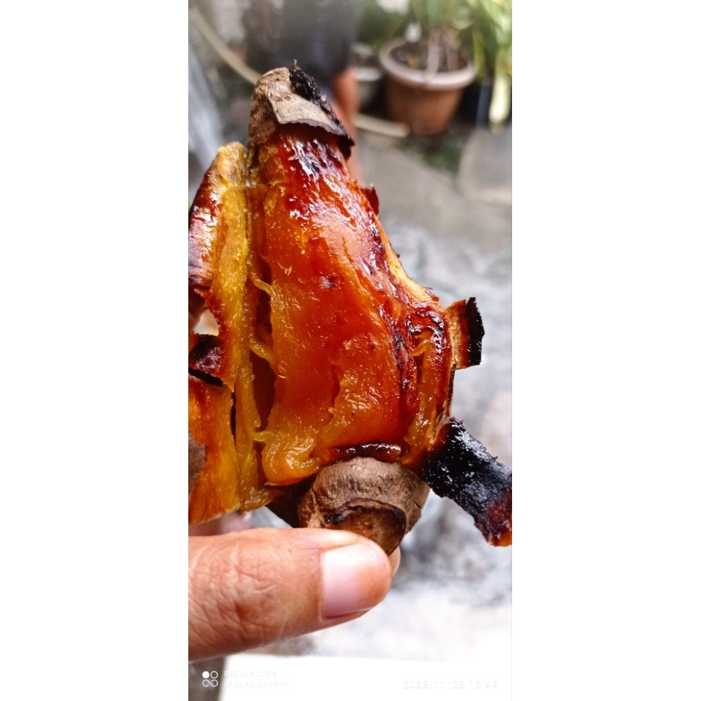 

UbiCeilembuOvenmanis,legitdanlembutmeleleh