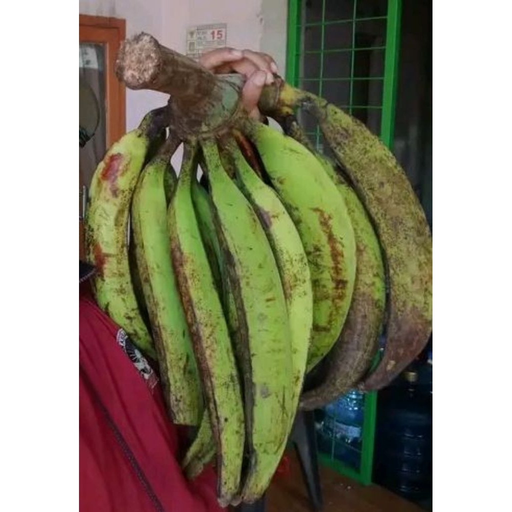 

pisang taduk se tadan.per 10 biji fres