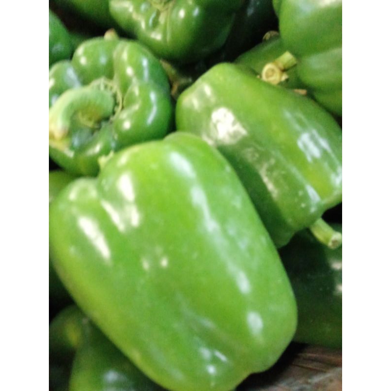 

paprika hijau fress500gram