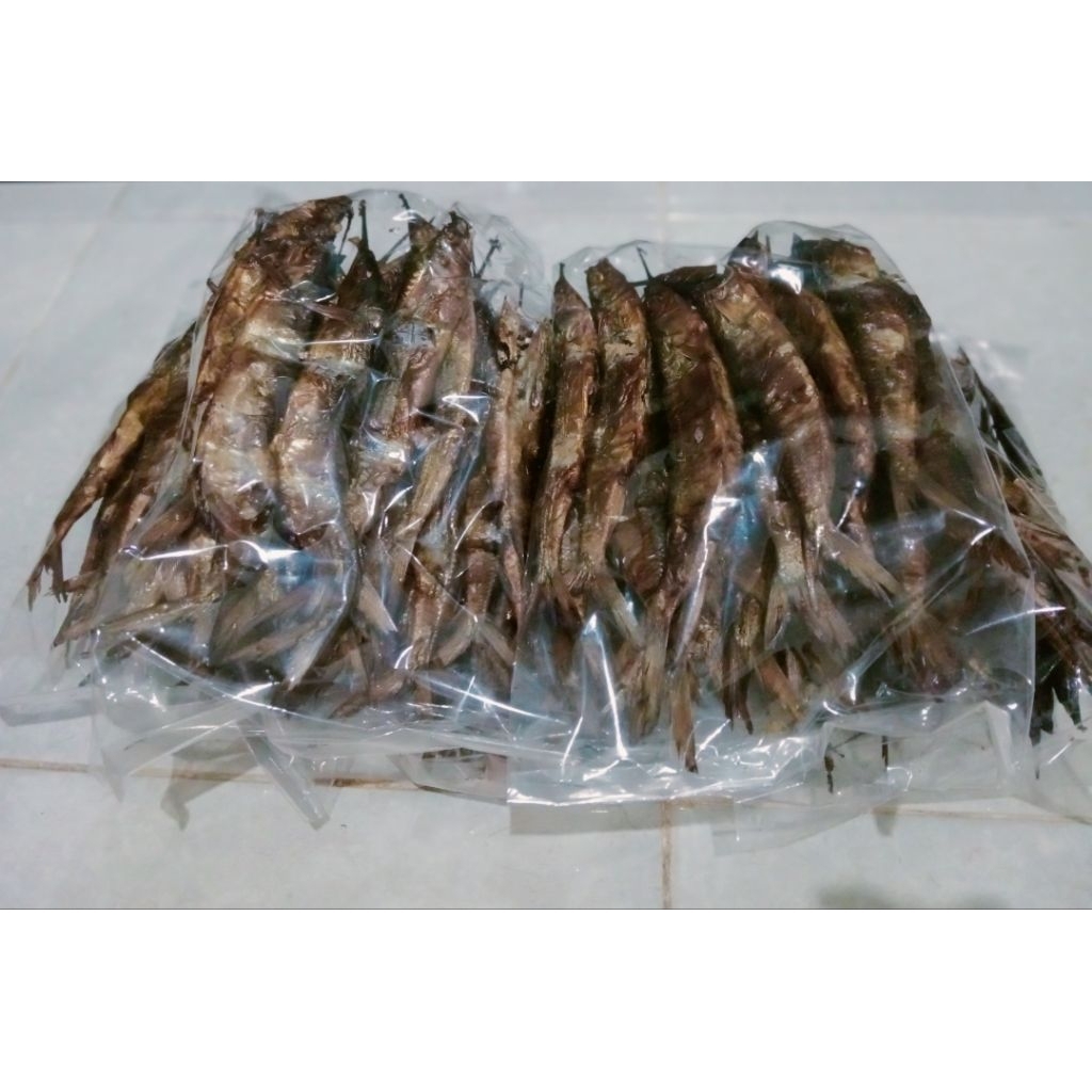 

Ikan Roa Gepe Donggala (isi 20 ekor/Bks)