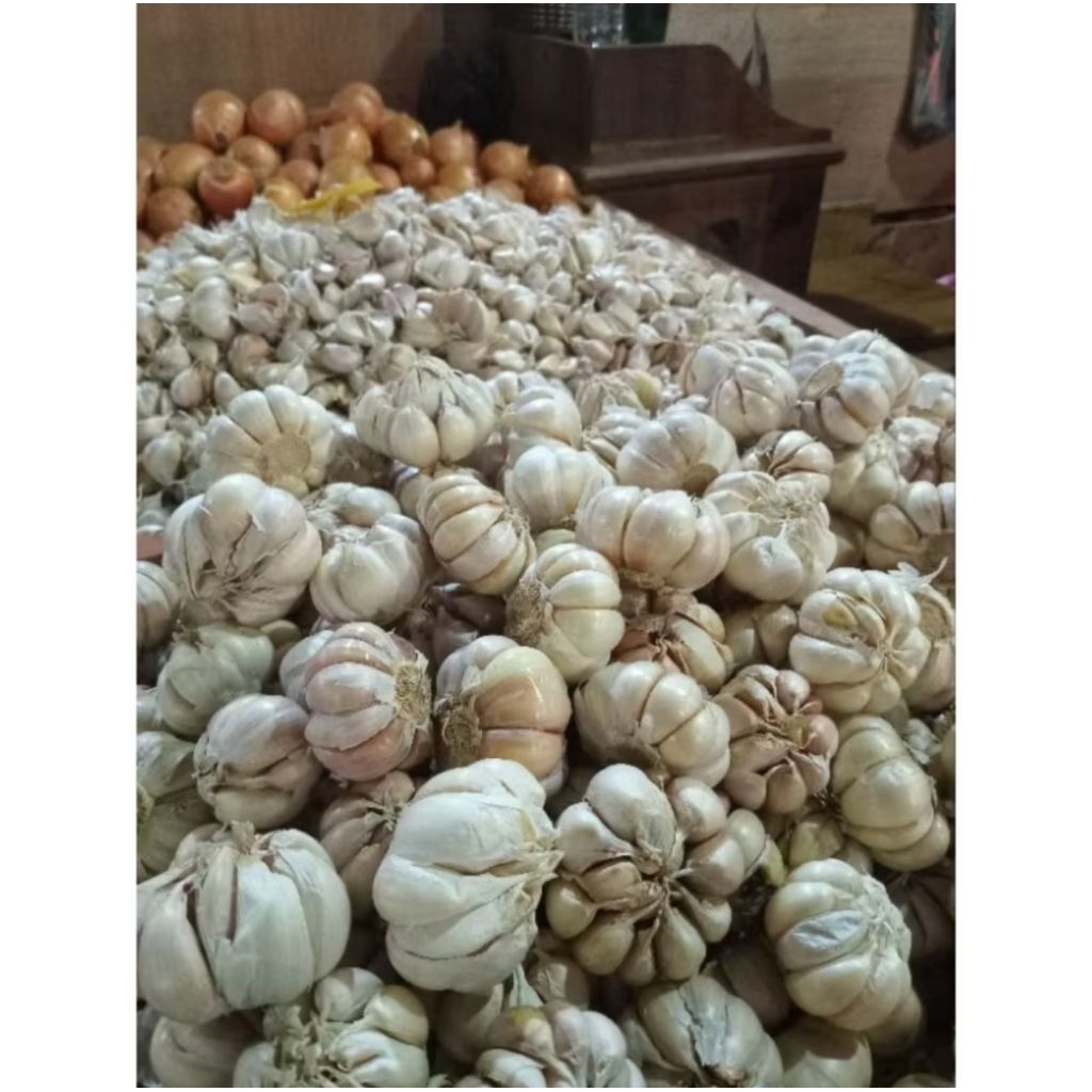 

OS, BAWANG PUTIH SEGAR, 1000G, 500G