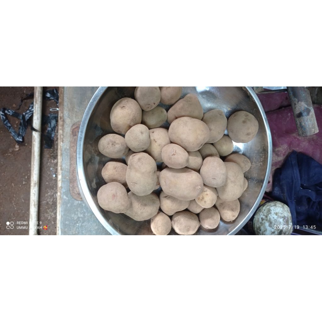 

kentang dieng ukuran kecil kemasan 1kg