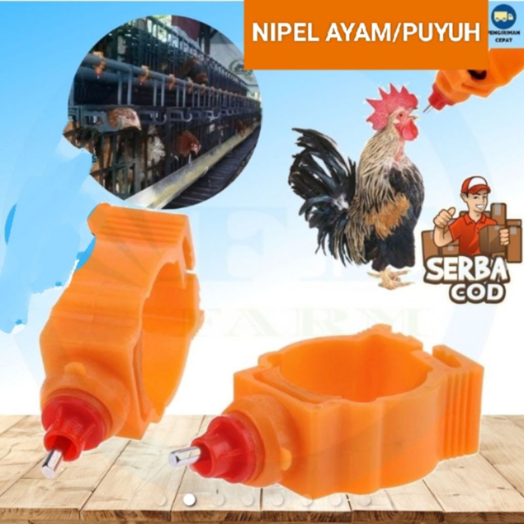 nipel nepel ayam nipple alat minum ayam puyuh