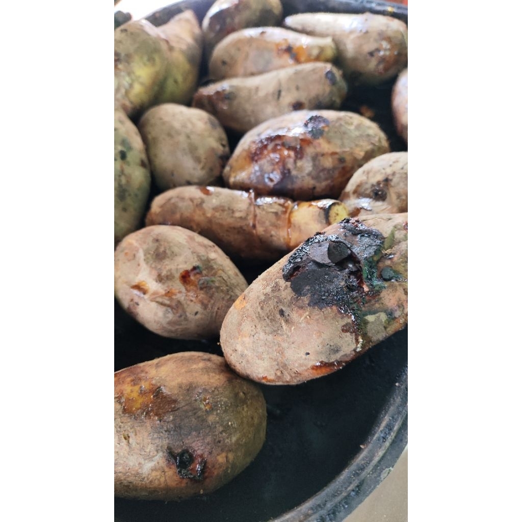 

Ubi Madu Cilembu Mateng 1kg