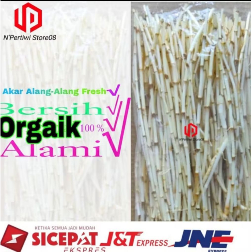 

Alang Alang|ilalang fresh 250g