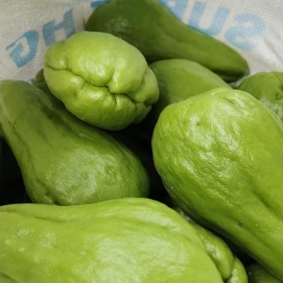 

Labu Segar Medium Uk 500gram (SPESIAL HADIAH GRATIS ORDER KENTANG MIN BELANJA 40RB)