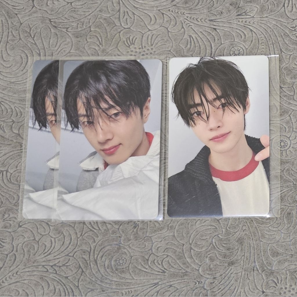 Official Photocard Enhypen Daydream Weverse Japan POB Benefit Sunghoon Jay