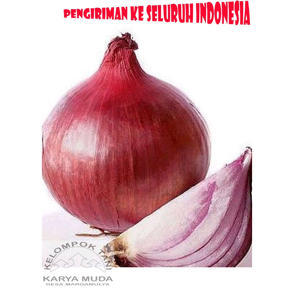 

BAWANG MERAH SUPER BAWANG LOKAL BALI BAWANG BATU
