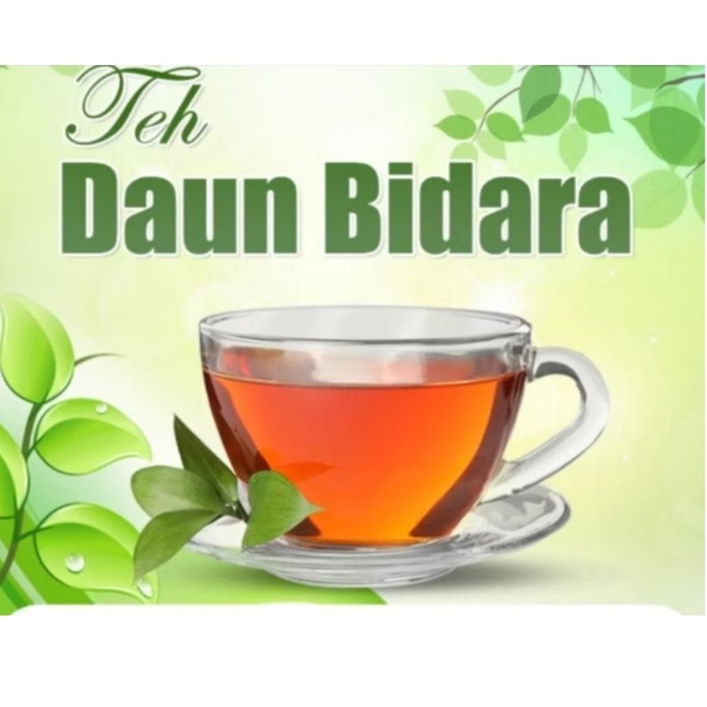

TEH DAUN BIDARA - TEH KAYA MANFAAT