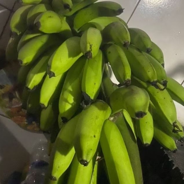 

Buah Pisang Mentah RK G Y Pisang Bangkaulu