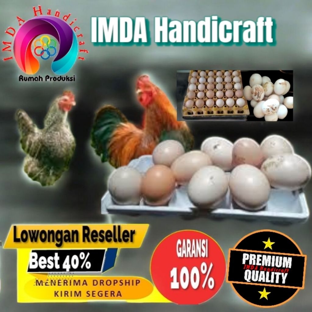 

IMDA HANDICRAFT Paket 50 Pcs TELUR FERTIL AYAM KUB2 Jalur PETELUR FI MURNI KUB2 Perent Stock Bisa Ditetaskan Kembali Kwalitas Super Jaminan Menetas Hasil Peternak Profesional