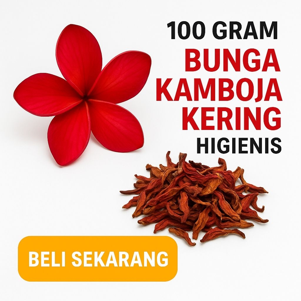 

Bunga Kamboja Kering Bersih Higienis dan Berkualitas 50 gram