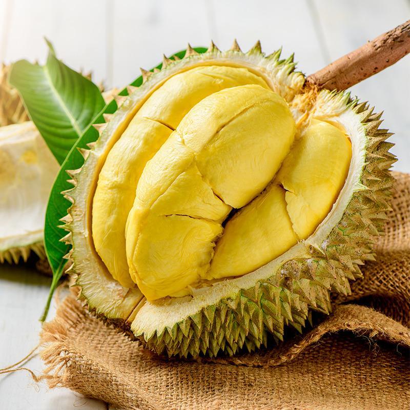 

Durian Montong | Durian Montong Kupas 1kg | Durian Montong Palu 500gr | Durian Montong Frozen