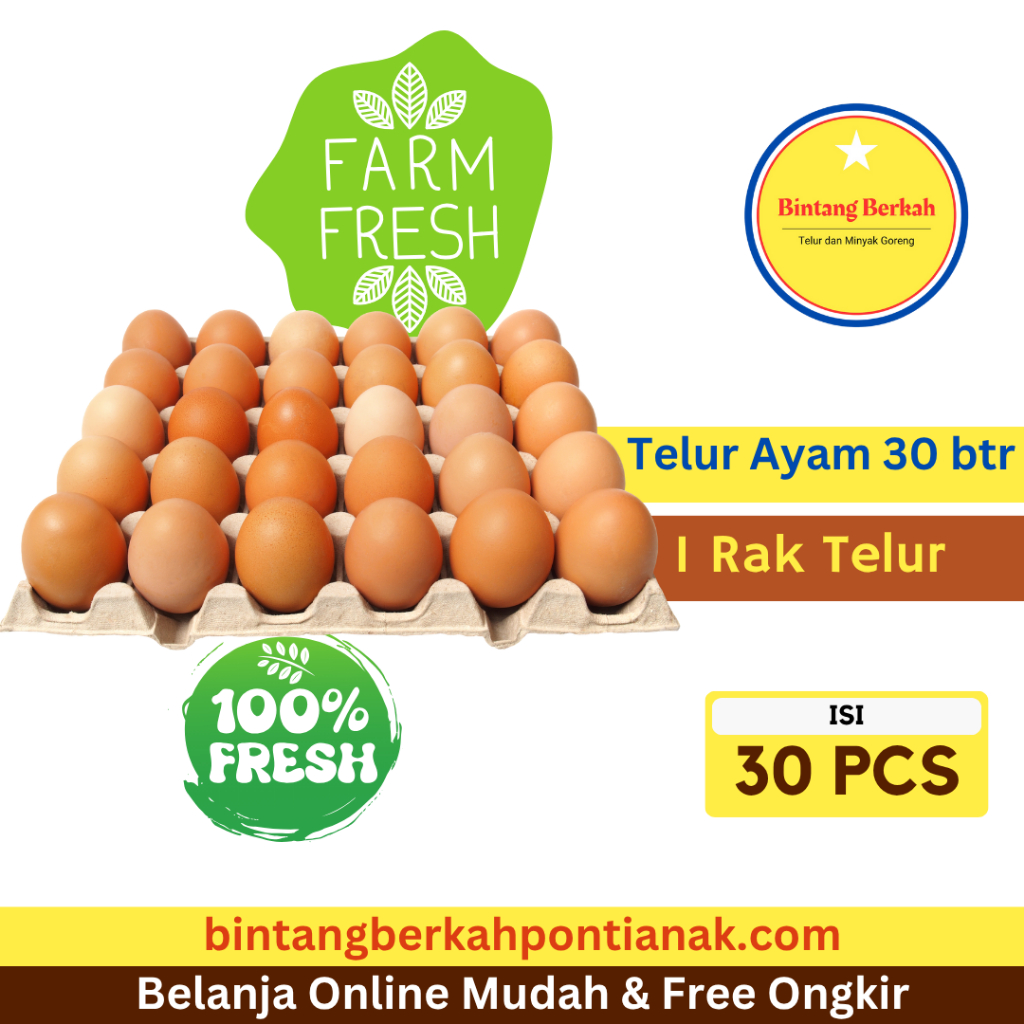 

Telur Ayam Negeri 30 butir - Pilihan Telur Kecil, Telur Sedang, Telur Besar, Telur Besar++
