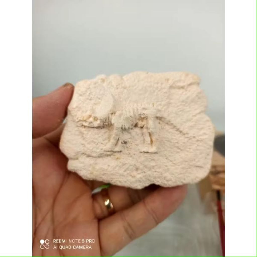 mainan fosil batu pasir dinosaurus