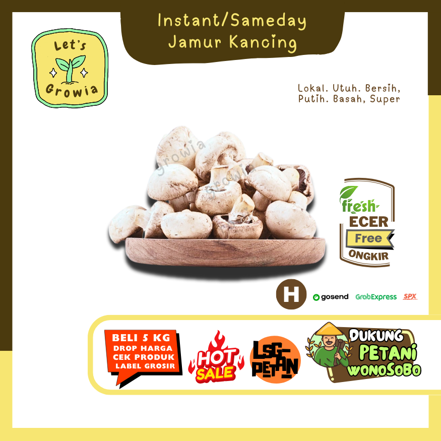 

Growia || Jamur Kancing -- Hasil Petani Langsung Ecer (H)
