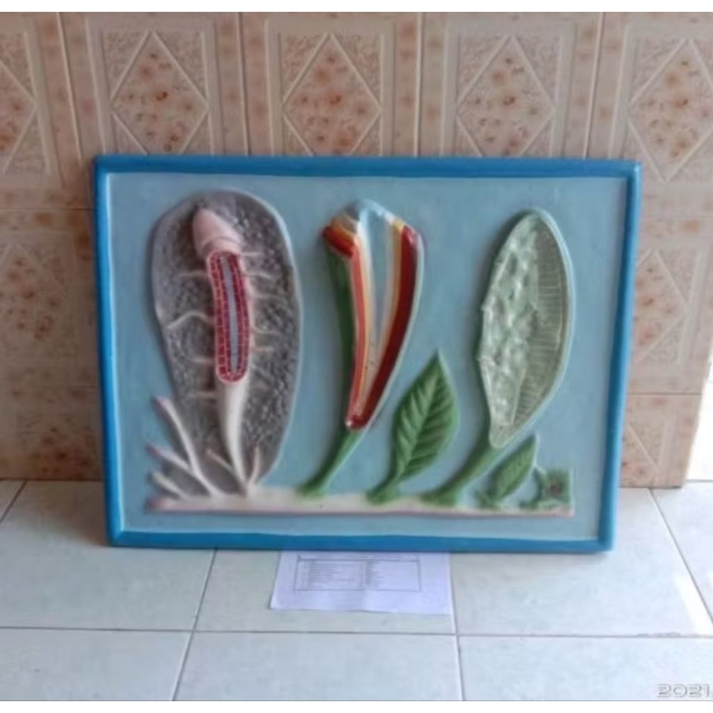 

akar batang dan daun