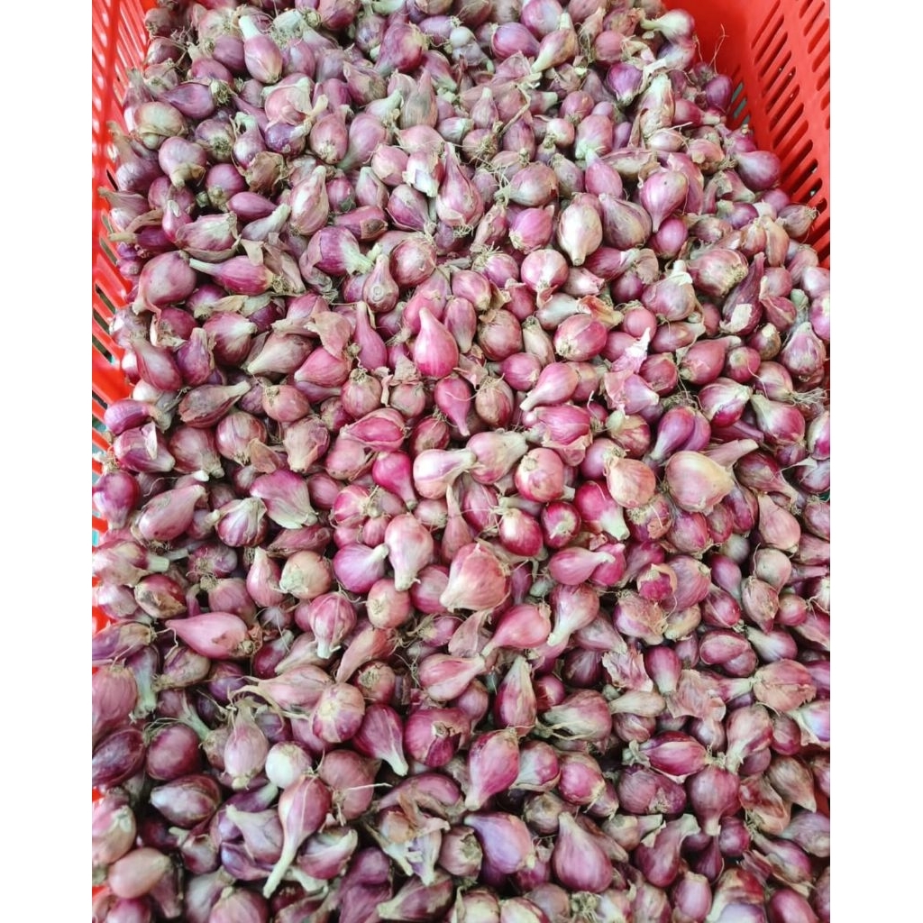 

Bawang Merah Super 1000g