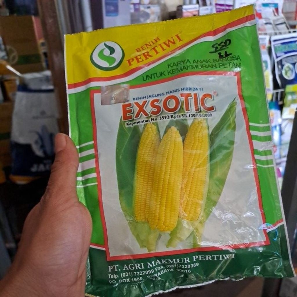 Benih Jagung Manis Exsotic 250gr/Pertiwi Exsotic