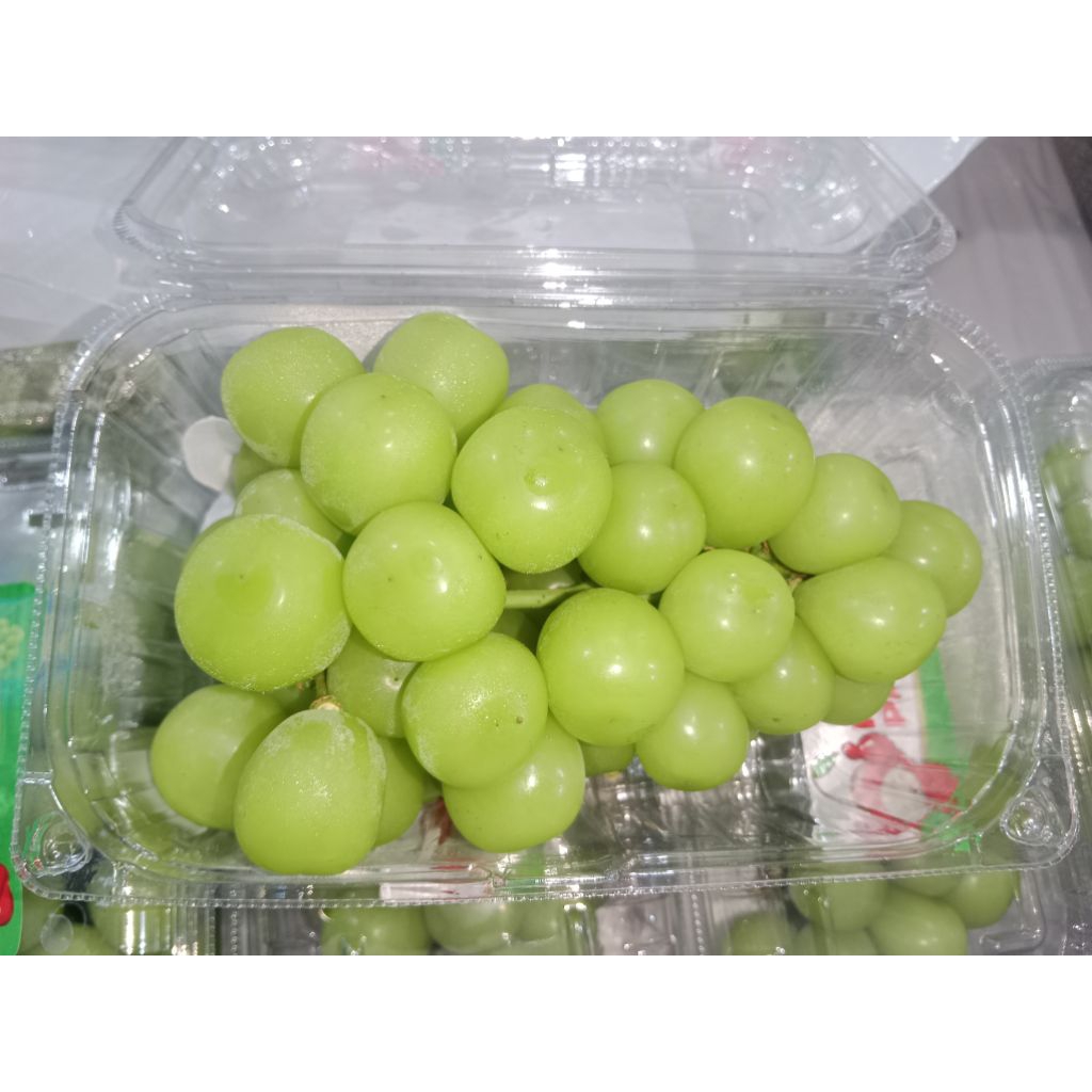 

Anggur Hijau 500 gram