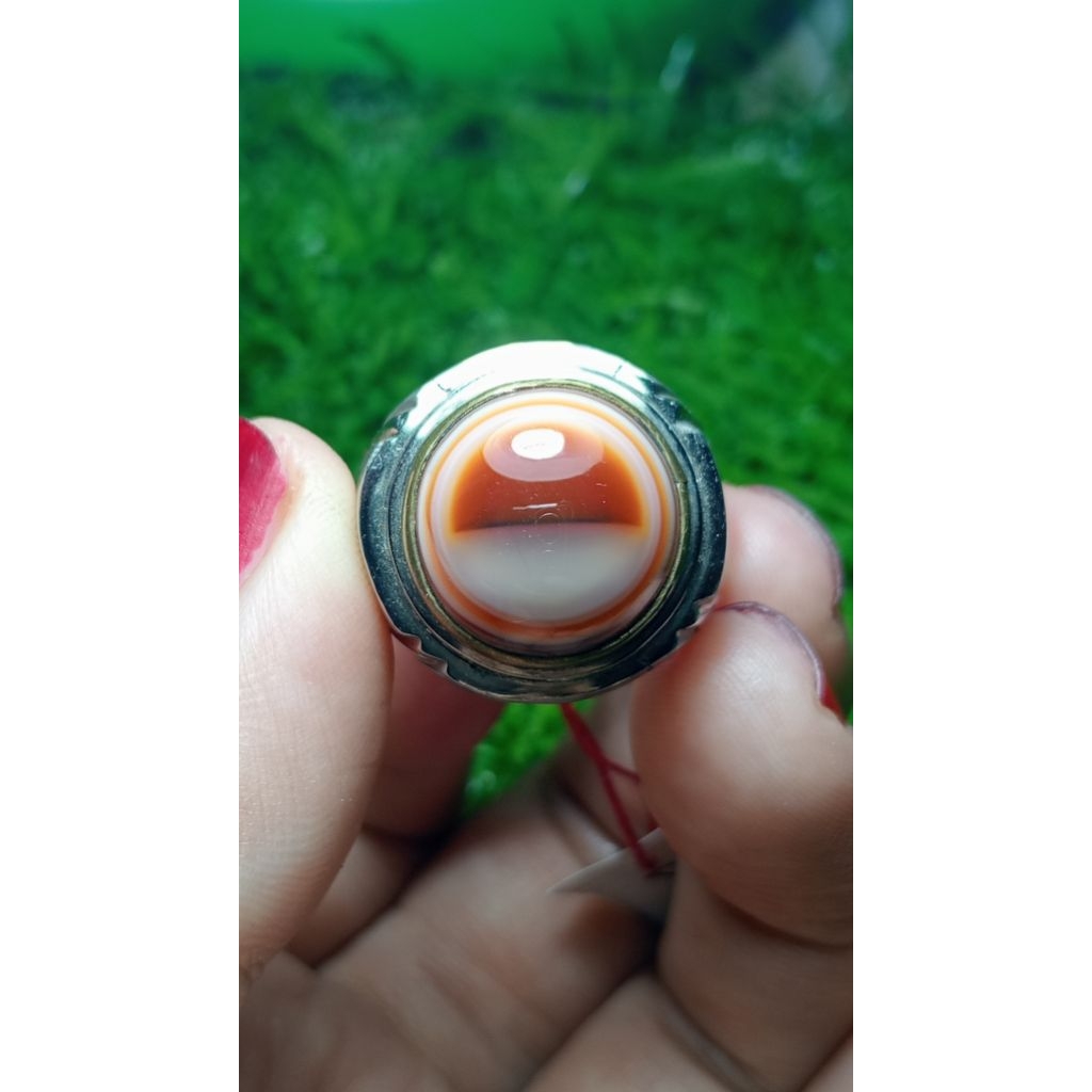 batu cincin akik merah putih