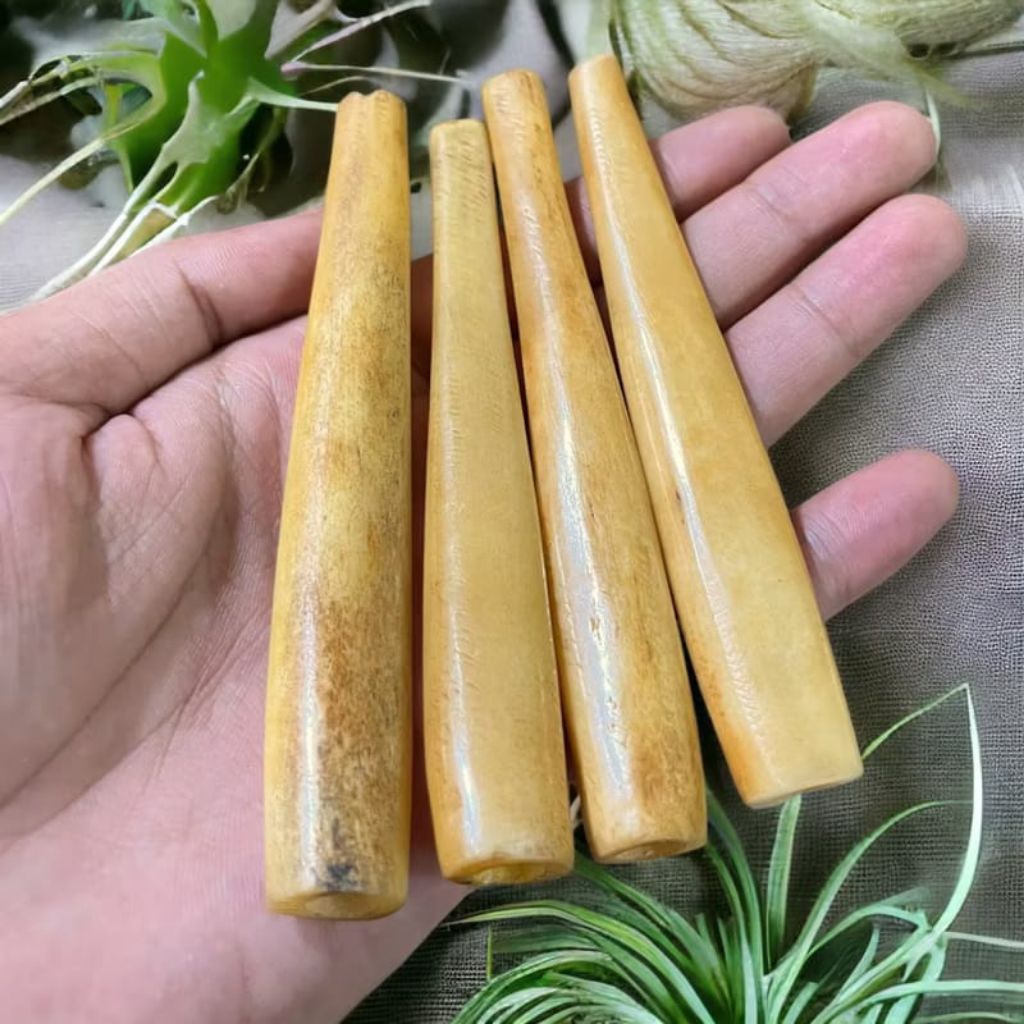 ONCE PIPA ROKO TULANG DUYUNG ASLI PANJANG 11-12 CM