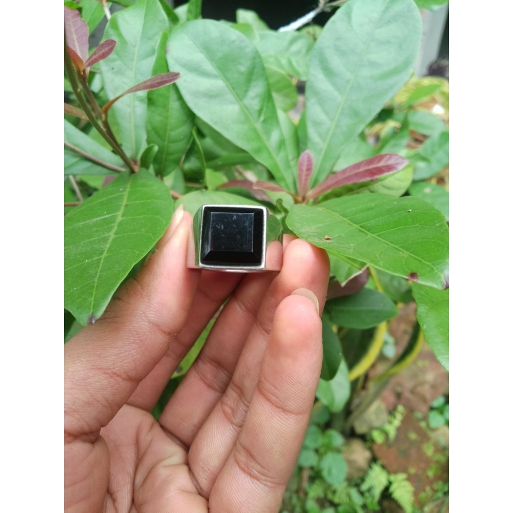 Cincin Fosil Galih Kelor asli