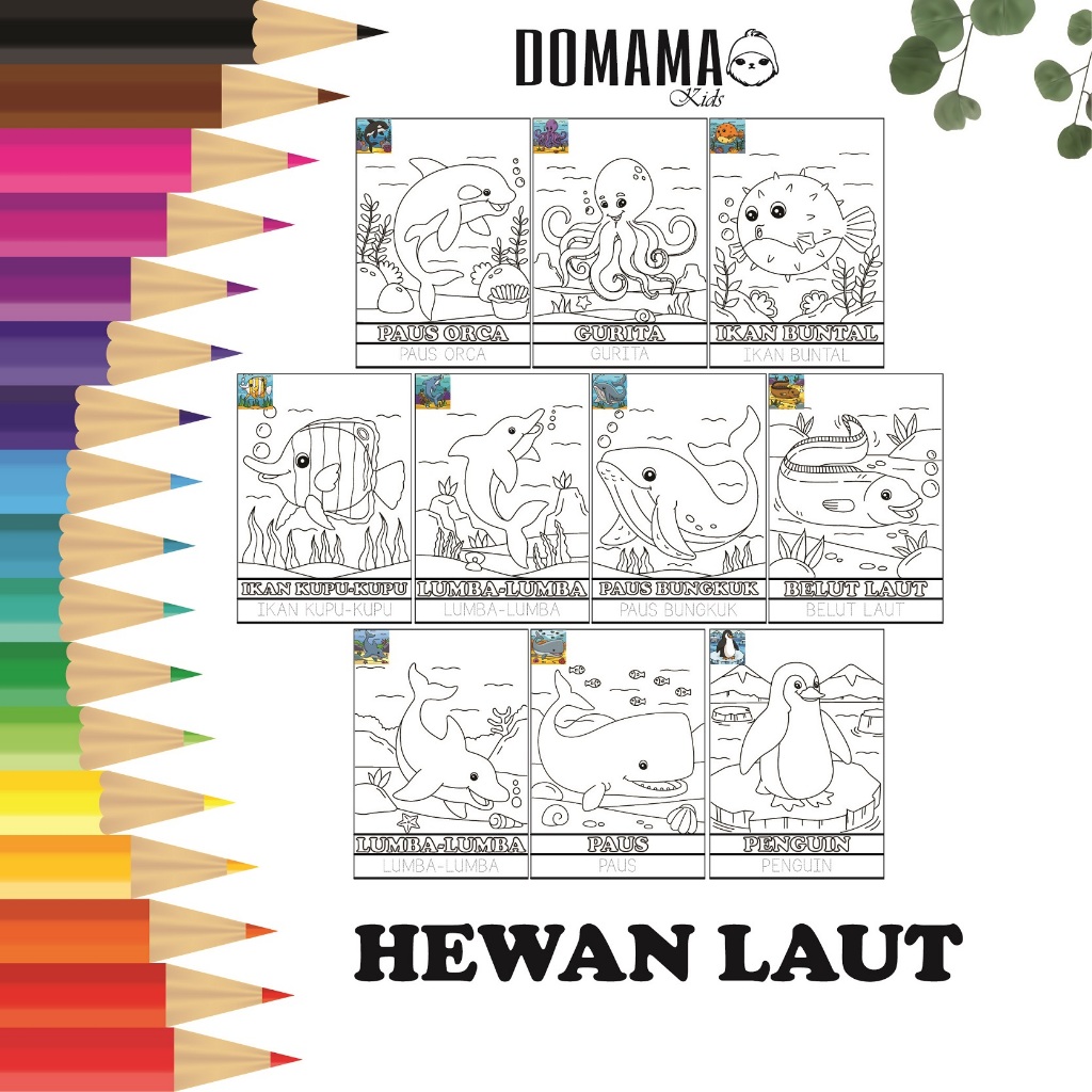 

Gambar hewan Laut : Gambar Mewarnai untuk Anak TK dan PAUD