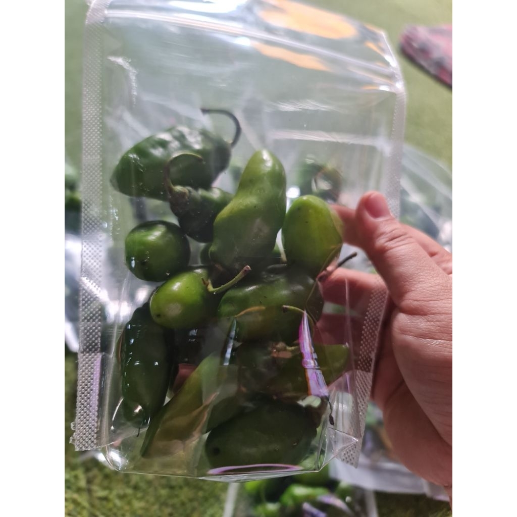 

CABE GENDOT / Bandot fresh