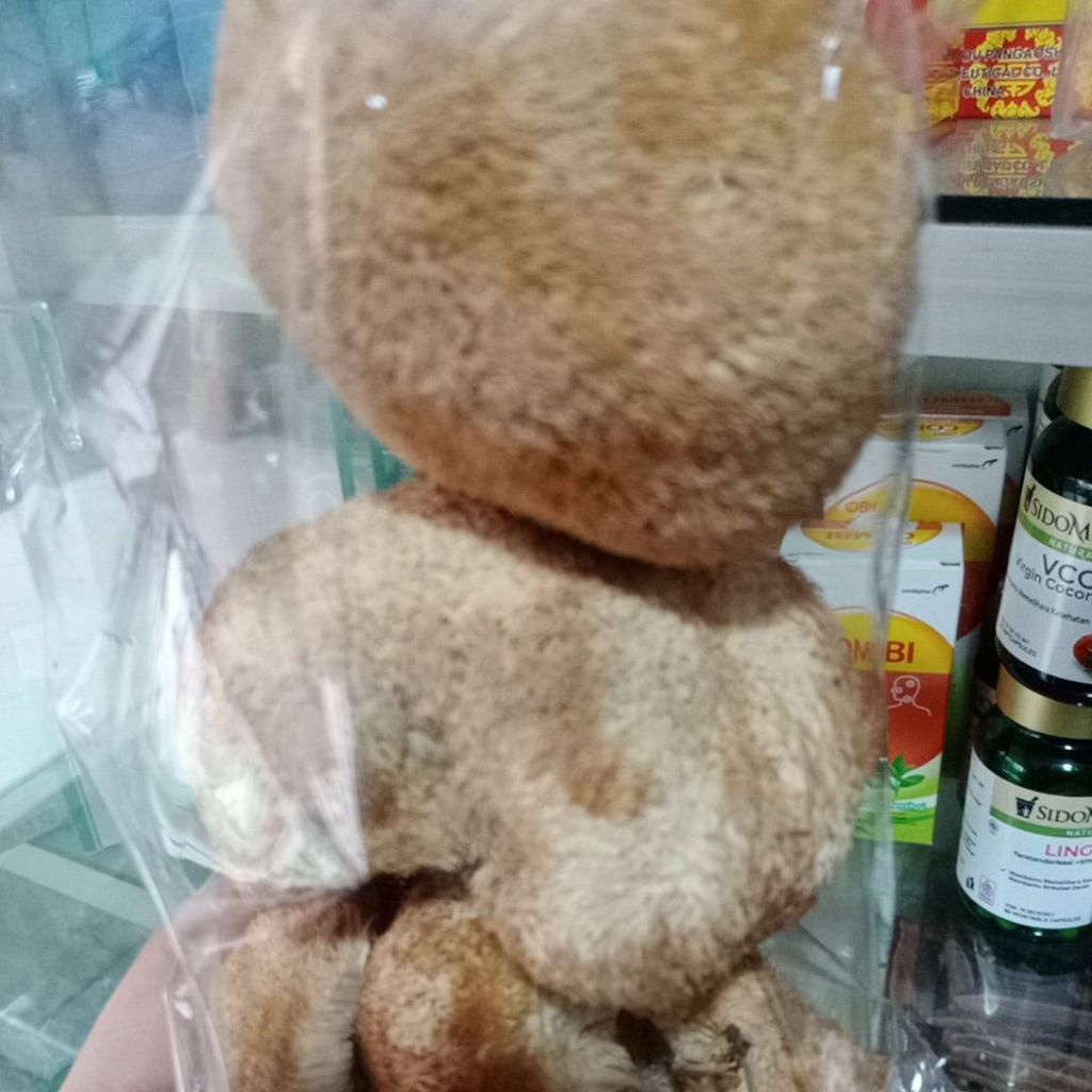 

jamur monyet 100gram