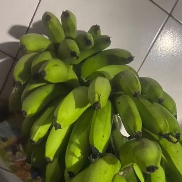

Buah Pisang Mentah RK GB Jum Pisang Bangkaulu
