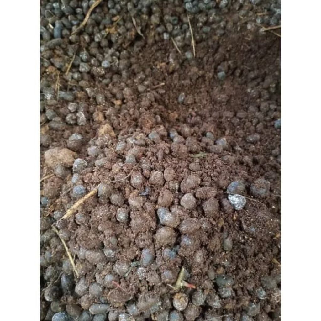 pupuk kandang kotoran kambing murni 1 kilo untuk semua jenis tanaman