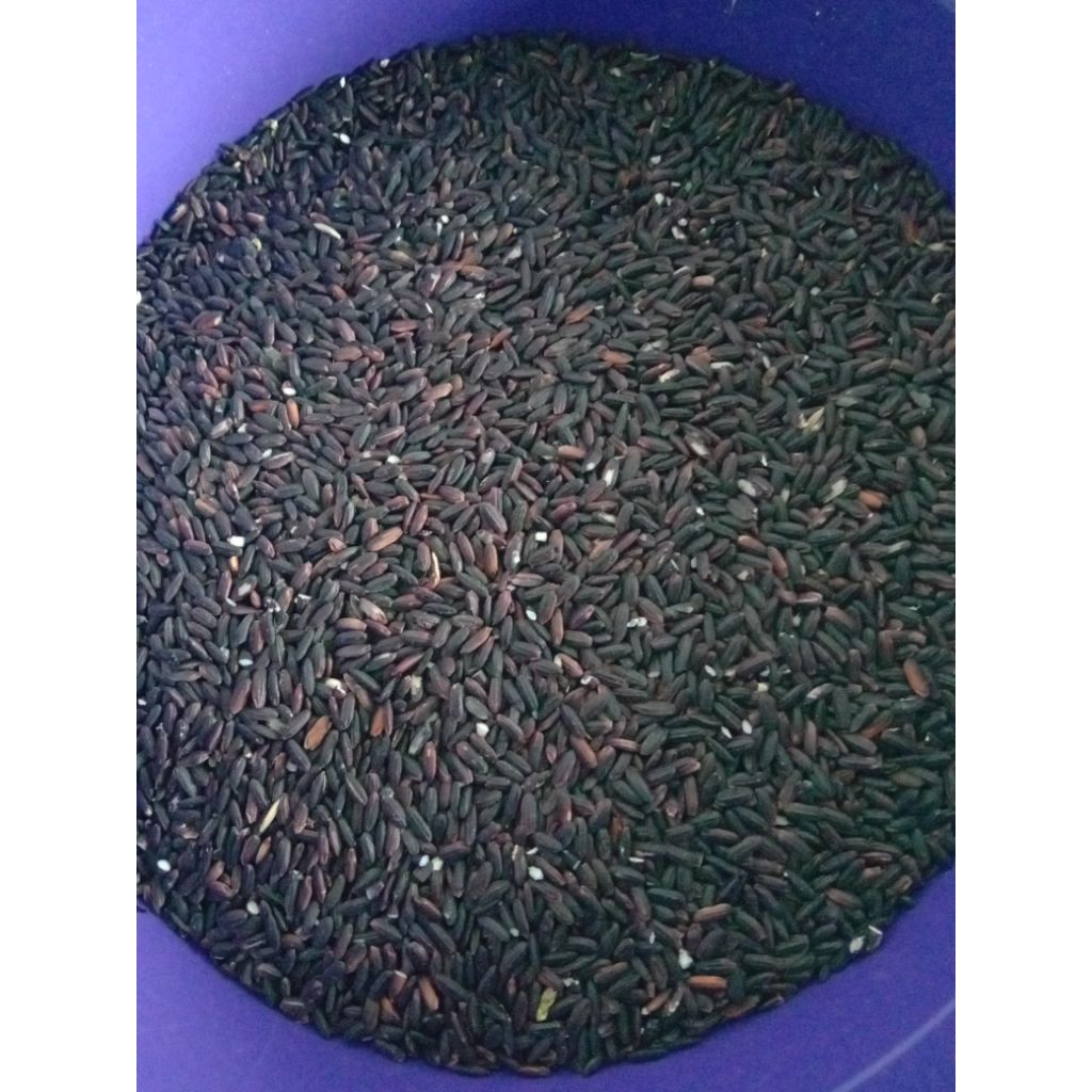 

ketan hitam organik kemasan satu kilo