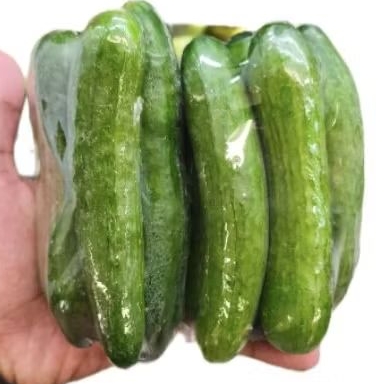 

Timun mini cucumber super segar Timun baby cucumber 500 gram