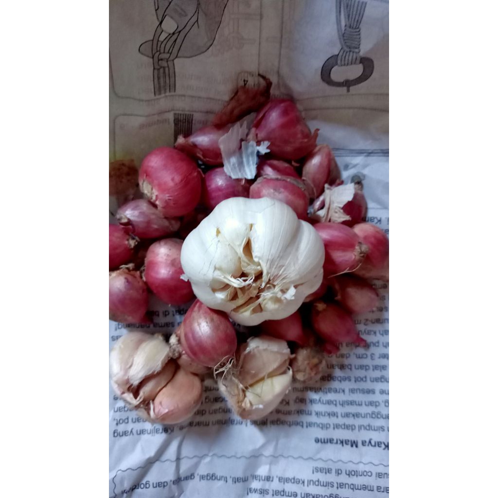 

bawang merah & bawang putih campur sebungkus sprti dgambar